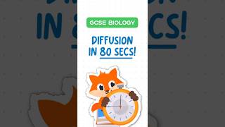 GCSE Biology  Diffusion in 80 seconds [upl. by Launamme]