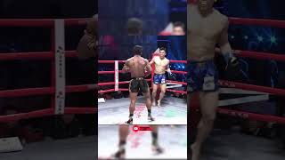 Very crispy buakaw kick is dug shortsvideo kickboxing boxing mma ufc muaythai shorts [upl. by Goddart]