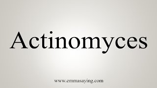 How To Say Actinomyces [upl. by Greenes]