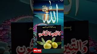 Wazifa 💚virelshorts virelvideo tranding [upl. by Okoyk]