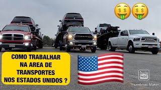 MINI CEGONHA NOS ESTADOS UNIDOS [upl. by Merrell]