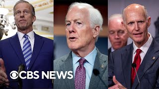 Republicans to vote on Senate leader with Thune Cornyn and Scott the frontrunners [upl. by Sower]