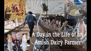 A Day in the LIFE of An AMISH DAIRYMAN During Fall Harvest in Lancaster County PAs Amish Country [upl. by Annaujat]