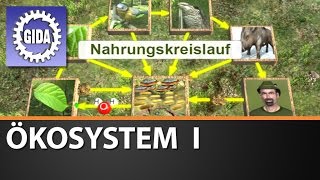 Trailer  Ökosystem I  Biologie  Schulfilm [upl. by Childs449]