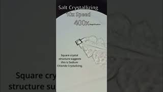 Salt Crystallization part 1 [upl. by Ayatal]