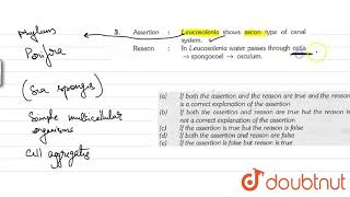 Assertion  Leucosolenia shows ascon type of canal system [upl. by Lamak268]