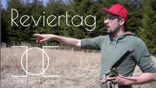 Reviertag im April  Wildkameras aufhängen und Hundetraining [upl. by Violetta877]