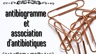 antibiogramme et association dantibiotiques [upl. by Zehc]