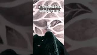 Başlık yok youtube crash funny bayram araba himym deneme money turkish çgh2 [upl. by Vita]