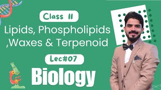 Lipids Phospholipids Waxes amp Terpenoid  Biological Molecules  Biology Class 11  Part 3 [upl. by Flann]