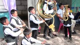 FIESTAS PATRONALES EN PLATANAR GUERRERO 2016 VIDEO 3 [upl. by Iamhaj]