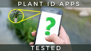 What Plant Identifier App Is Best I Tested Them [upl. by Milman60]