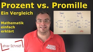 Prozent und Promille  Ein Vergleich  Mathematik einfach erklärt  Lehrerschmidt [upl. by Irv721]