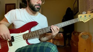 The Ballroom Thieves  In The Dark Bass Cover [upl. by Fairfax]