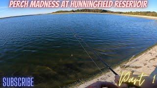 Perch madness at Hanningfield reservoir part 1 [upl. by Krueger]