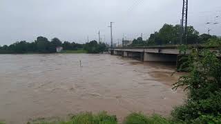 Hochwasser 2024  Heilbronn [upl. by Hayouqes]