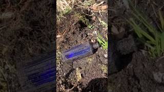 blue hexagonal poison bottle found bottle digging Glasgow Scotland [upl. by Delwin]