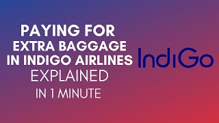 How To Pay For Extra Baggage In IndiGo Airlines [upl. by Stephen615]