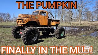 Pumpkin in the MUD [upl. by Mak]