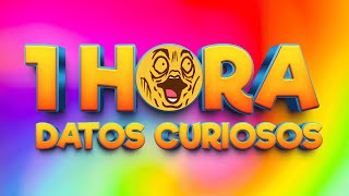 1 HORA DE DATOS CURIOSOS Y CURIOSIDADES ⏰😲 [upl. by Erdnaxela]