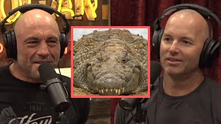 JRE  Scary CROC Stories [upl. by Wainwright]