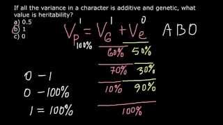 Phenotype and Heritability [upl. by Reisman]