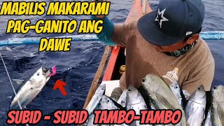 Part 3 Panghuhuli ng tulingan gamit ang Subid 4 in 1 line o Tambo tambo [upl. by Nary634]