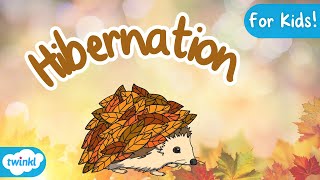 What is Hibernation  Hibernation for Kids [upl. by Ikkaj793]