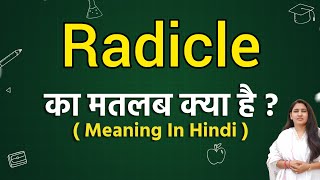 Radicle meaning in hindi  Radicle ka matlab kya hota hai  Word meaning [upl. by Hamforrd]