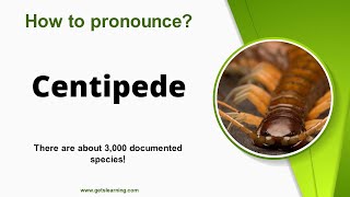 How to pronounce Centipede in English correctly [upl. by Ereynihc]