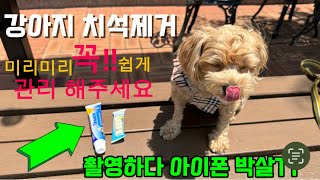 제품이 very 좋아서 만든 영상feat iPhone 박살 날 뻔ORATENE 내돈내산추천제품방송사고 [upl. by Niryt456]