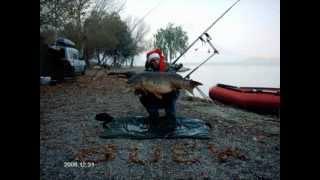 Winter carp 2006 dec Rio Ebro part1 [upl. by Ragucci]