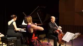 Seraphim Trio performs Ravel Trio in A minor [upl. by Ahsienaj]