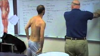 Scapular Protraction Pectoralis Minor Stretching [upl. by Veradis]