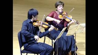 quotCavatinaquot  Beethoven String Quartet Op130 B flat major [upl. by Balfour]