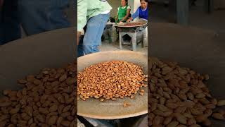 Preparando mole fiesta mole oaxaca mixteca comida streetfood tradiciones recetas [upl. by Cyler666]