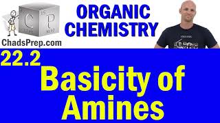 222 Basicity of Amines  Organic Chemistry [upl. by Wallach]