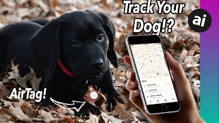 Can You Use AirTag to TRACK Your Pets What About Kids [upl. by Eniladam]