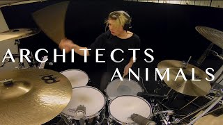 Architects  Animals  Drum Cover • Gabriel Gomér [upl. by Ingelbert]