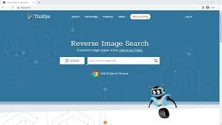 Reverse Image Search Using TinEye [upl. by Rehtul]