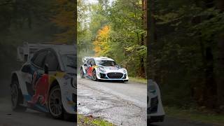 MSport Ford Puma Rally1 wrc rally ford msport speed viralvideo motorsport czech fyp racing [upl. by Jany]