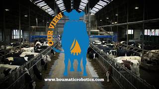 BouMatic Robotics  Schoorlemmer Dairy Farm in Heeten the Netherlands [upl. by Ahsinrats]