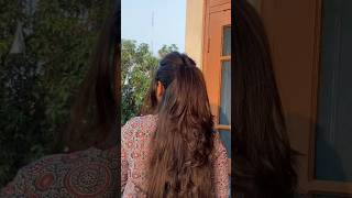 Half ponytail hack 💗hairstyle viralvideo hack shorts [upl. by Hilda66]