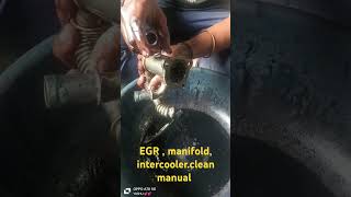 manual carbon cleaning 🧹 EGR  manifold intercooler cleaning 🧼 [upl. by Daiz237]