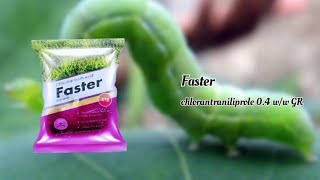 Faster chlorantraniliprole 04 ww GR Insecticide फास्टर कीटनाशक दवाई [upl. by Casaleggio863]