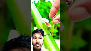 Yah kaisa banduk hai dekho bamboo ka bamboo toys bambooshoot diy bambooworks bambooproducts [upl. by Notaes]