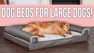 5 Best Dog Beds for Large Dogs You Can Buy [upl. by Odetta]