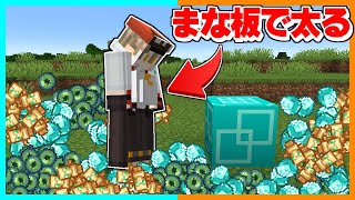 まな板をつかうほど太っていくマインクラフト【ゆっくり実況】【マイクラ  Minecraft】【まいくら】 [upl. by Nerrak]