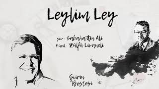 Zülfü Livaneli  Leylim Ley  quotSesquot [upl. by Alfeus508]