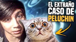 El extraño caso de PELUCHIN ENTERTAINMENT El youtuber ASESINO [upl. by Nirot]